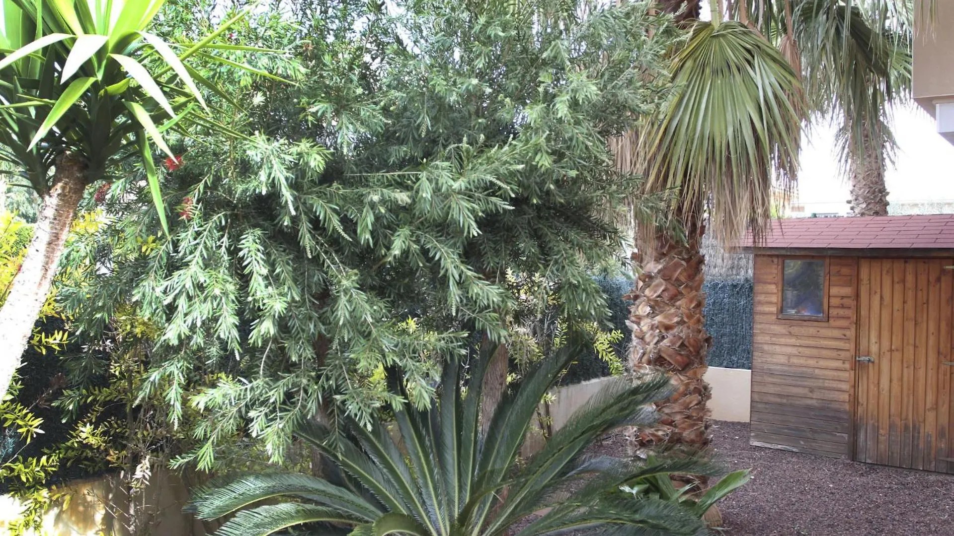 Holiday Home Rosa By Interhome L'Ampolla